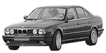 BMW E34 P1013 Fault Code